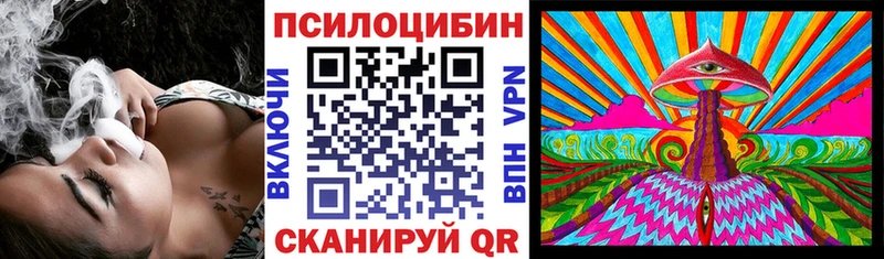где купить наркоту  Почеп  гидра маркетплейс  Галлюциногенные грибы прущие грибы 